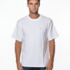 DICKIES T-SHIRT DK0A4Z4L BIA-1