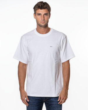 DICKIES T-SHIRT DK0A4Z4L BIA-1