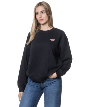 DICKIES FELPA DKD0A4YQD NER-3