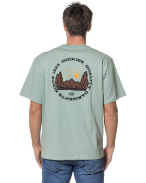 DICKIES T-SHIRT DK0A4Z8P VER-2