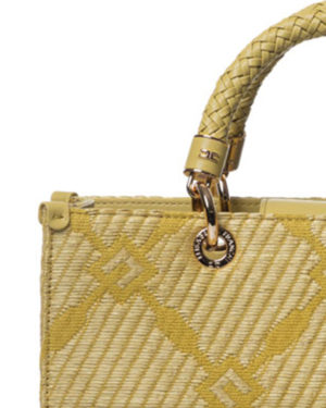ELISABETTA FRANCHI BORSA CBBS12A51E2 SEN-4