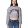 TOMMY HILFIGER FELPA THD20536 GRI-1