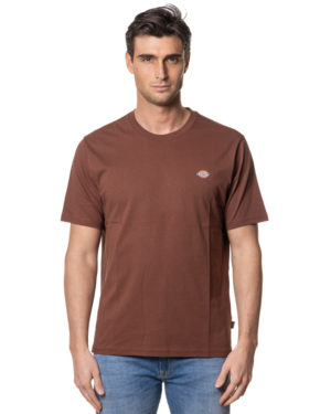 DICKIES T-SHIRT DK0A4XDB CAP-1