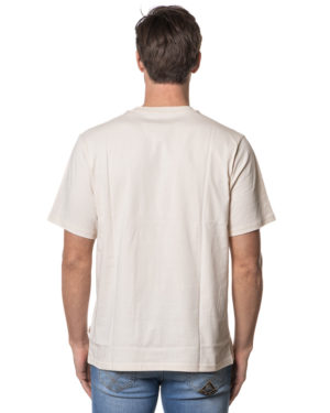 DICKIES T-SHIRT DK0A4XDB GRI-2