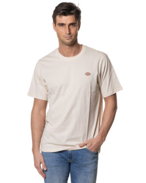 DICKIES T-SHIRT DK0A4XDB GRI-3