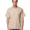 DICKIES T-SHIRT DK0A4Z4L PAN-1