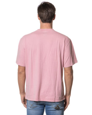 DICKIES T-SHIRT DK0A866B LIL-2