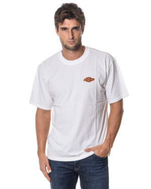 DICKIES T-SHIRT DK0A87QQ BIA-3