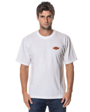 DICKIES T-SHIRT DK0A87QQ BIA-1