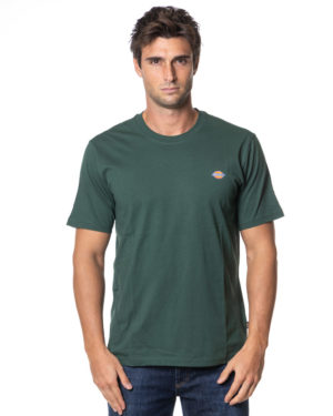DICKIES T-SHIRT DK0A4XDB VER-1