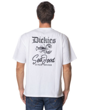 DICKIES T-SHIRT DK0A87QX BIA-2